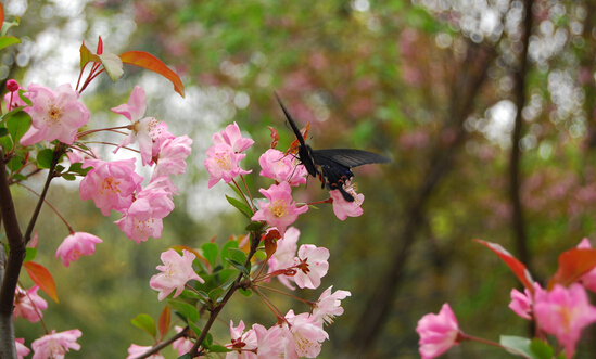 ���x�ذ� �^�����ࣨ�������䣩�������ⰻȻ��