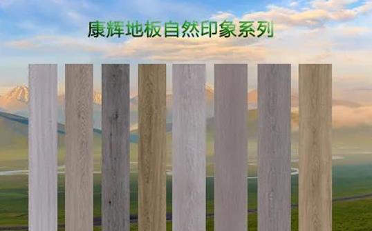 ���x�ذ���Ȼӡ��ϵ�� ������Ȼ�������