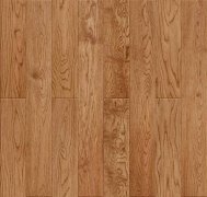 KH-9915 �h�m����