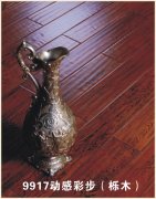 KH-9917 ��(d��ng)�вʲ�