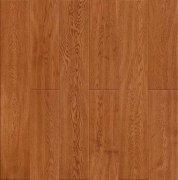 KH-9929 ���{����